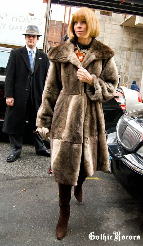 2008~srb ģ݋show